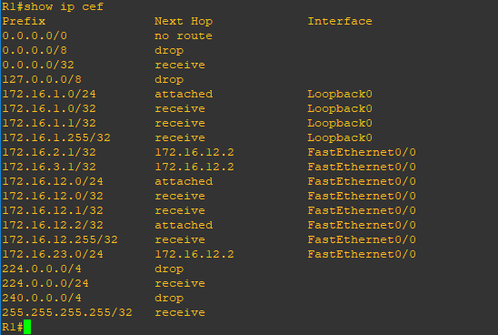 r1-show-ip-cef.png